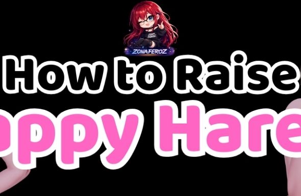 How to Raise Happy Harem
